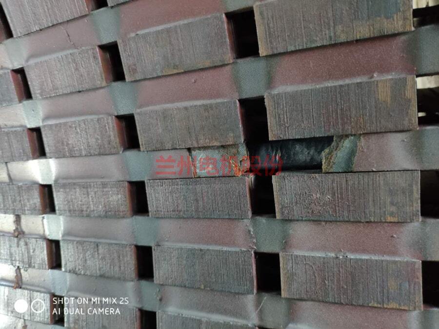 Lanzhou Electric